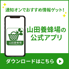 �R�c�{�I��̌����A�v��